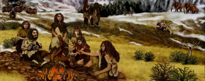 Neanderthals used resin glue to craft their stone tools