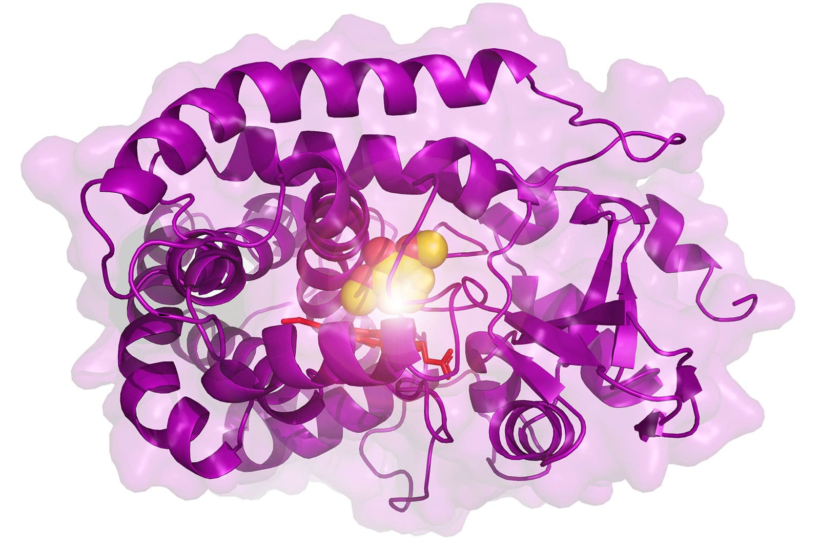 The newly engineered enzyme./ Image: University of Portsmouth
