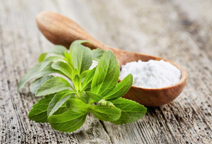 The science behind the sweetness of the stevia plant