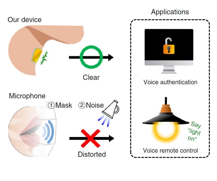 Schematic image of the comparison between our device and a reference microphone for voice authentication and voice-controlled applications. Image: POSTECH