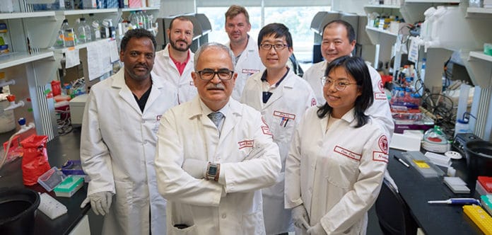 In a major collaborative effort, researchers at the Lewis Katz School of Medicine at Temple University and the University of Nebraska Medical Center (UNMC) have for the first time eliminated replication-competent HIV-1 DNA – the virus responsible for AIDS – from the genomes of living animals. The study, reported online July 2 in the journal Nature Communications, marks a critical step toward the development of a possible cure for human HIV infection.