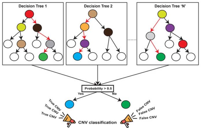 A random-forest, machine-learning method for identifying copy number variation from exome-sequencing data. A forest of hundreds of decision trees is trained on a validated set of genetic deletions and duplication, the model built from these trees can then be used to accurately identify copy number variation in sample exome-sequencing data. IMAGE: GIRIRAJAN LABORATORY, PENN STATE
