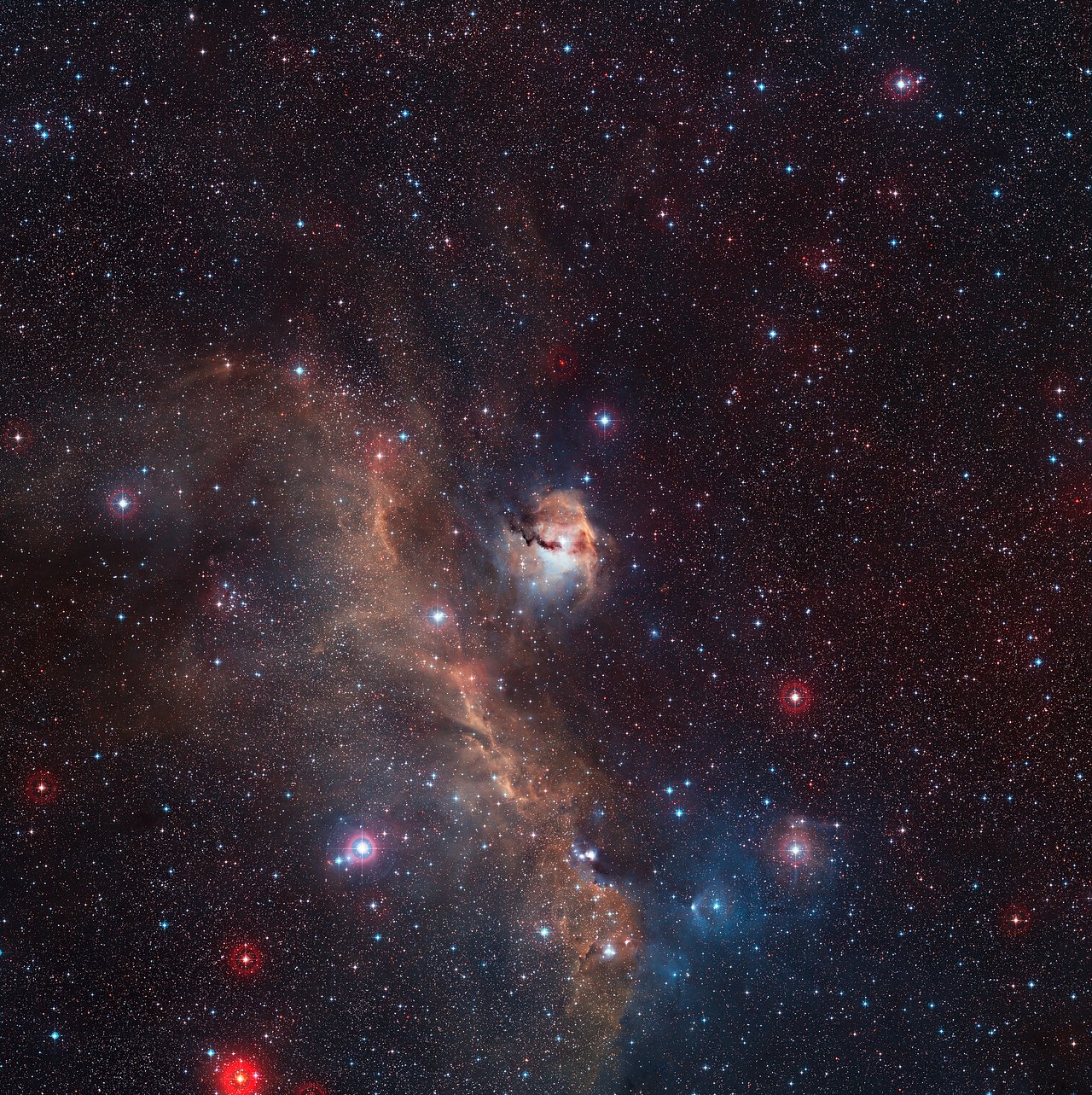This wide-field view captures the evocative and colourful star formation region of the Seagull Nebula, IC 2177, on the borders of the constellations of Monoceros (The Unicorn) and Canis Major (The Great Dog). This view was created from images forming part of the Digitized Sky Survey 2. Credit: ESO/Digitized Sky Survey 2. Acknowledgement: Davide De Martin