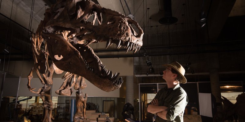 Paleontologist Scott Persons, pictured here with the recently-discovered world’s largest T. rex “Scotty,” led the study at UAlberta exploring how dinosaur feathers changed over time and enabled flight.