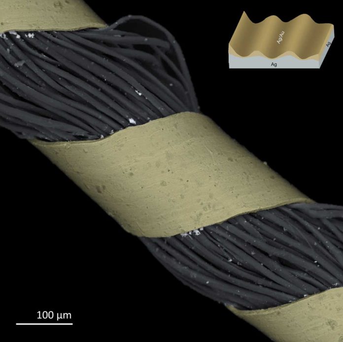 This colorized microscopy image of an 18th century metal thread reveals it is made of a piece of metal wrapped around a silk core; inset shows relative amounts of silver and gold/silver alloy. Scale bar = 100 microns. Credit: Aleksandra Popowich and Edward Vicenzi