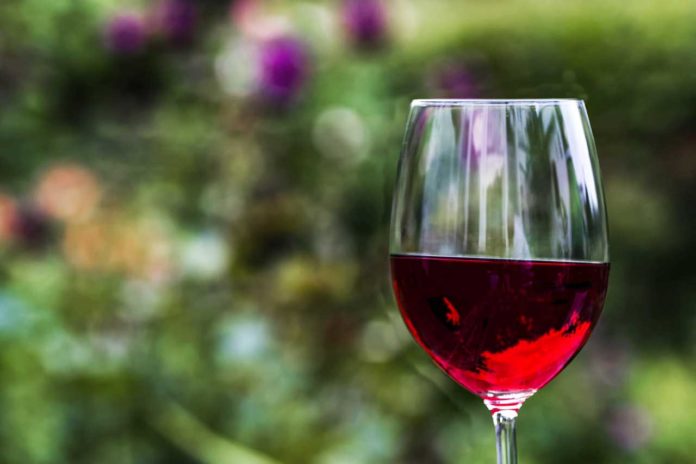 Red wine boosts gut health and reduce bad cholesterol