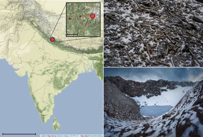 Context of Roopkund Lake. a) Map showing the location of Roopkund Lake. The approximate route of the Nanda Devi Raj Jat pilgrimage relative to Roopkund Lake is shown in the inset. b) Image of disarticulated skeletal elements scattered around the Roopkund Lake site. Photo by Himadri Sinha Roy. c) Image of Roopkund Lake and surrounding mountains. Photo by Atish Waghwase © Harney et al.; Nature Communications