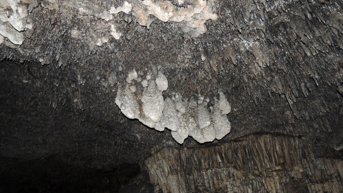 A close up of the bulbous stalactitic feature of a phreatic overgrowth on speleothems (POS). Credit: UNM Newsroom