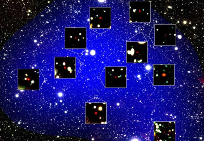 Positions of galaxies within the protocluster