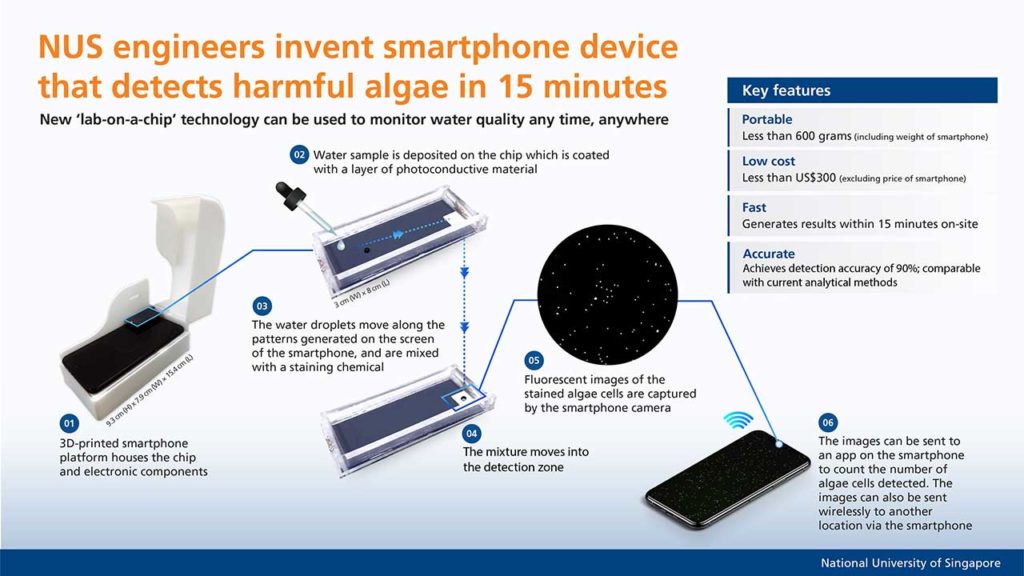 NUS engineers invent smartphone device that detects harmful algae in 15 minutes