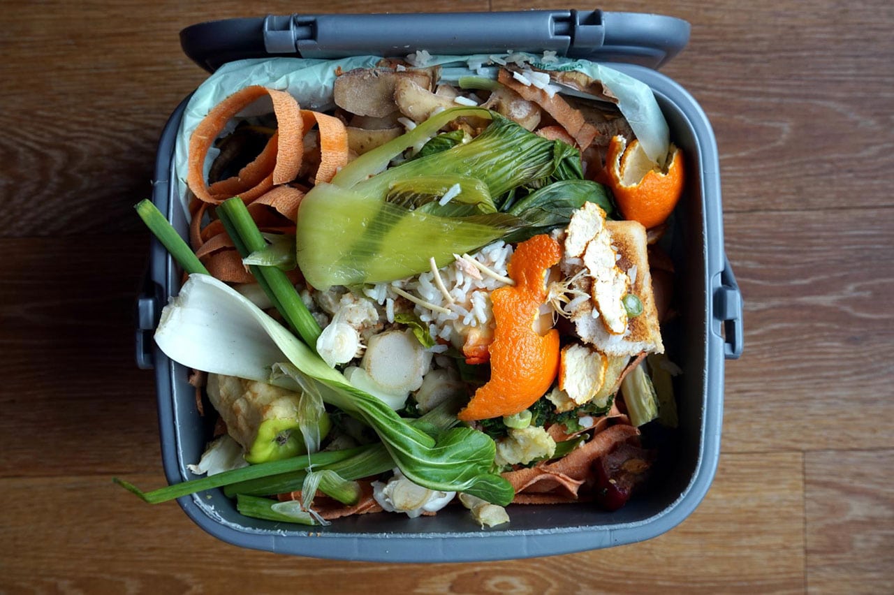 Food Waste in Tourism Is a Bigger Issue Than Previously Thought