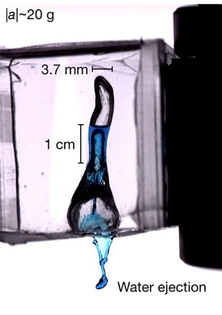Various tube sizes and different accelerations were tried to determine what combination was necessary to remove water from a confined area. Credit: Anuj Baskota, Seungho Kim, and Sunghwan Jung