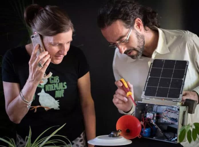 Researchers Anke Marie Hoefer and Adrian Garrido Sanchis test the FrogPhone. Credit: Marta Yebra Alvarez