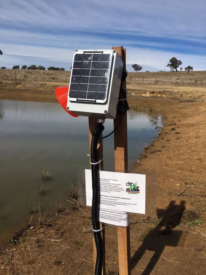 The FrogPhone installed at the field site. Credit: Kumudu Munasinghe