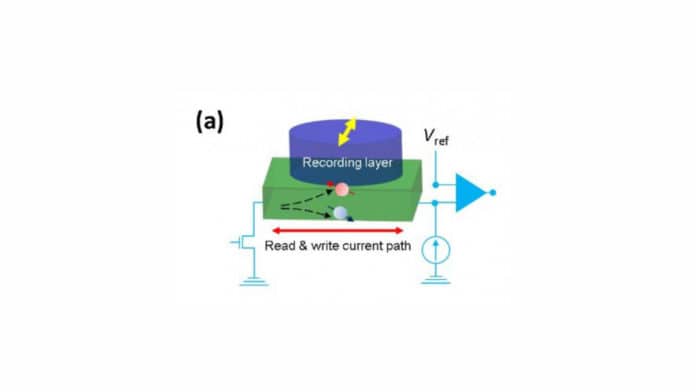 The proposed combination of materials serves as a memory unit by supporting read and write operations. The spin injection by the topological insulator (TI) material reverses the magnetization of the ferromagnetic (FM) material, representing the 'write' operation. Furthermore, the spin injection can also change the overall resistance of the materials, which can be sensed through an external circuit, representing the 'read' operation. CREDIT Journal of Applied Physics