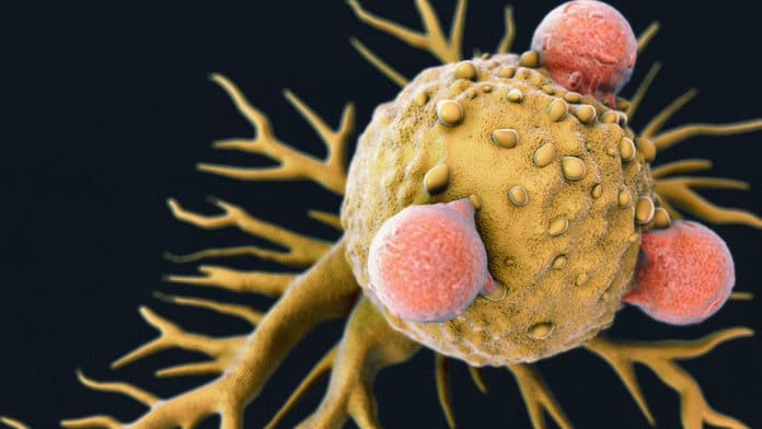 Discovery may treat all types of cancers