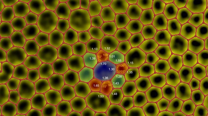 Researchers at the National University of Singapore have created the world’s first atomically thin amorphous carbon film. The amorphous structure have widely varying atom-to-atom distance unlike crystals. This is because of the random arrangement of five-, six-, seven- and eight-carbon rings in a planar carbon network, leading to a wide distribution of bond lengths (in Å) and bond angles. Credit: National University of Singapore