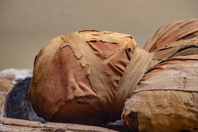 Sound of a mummy heard again for the first time in 3,000 years