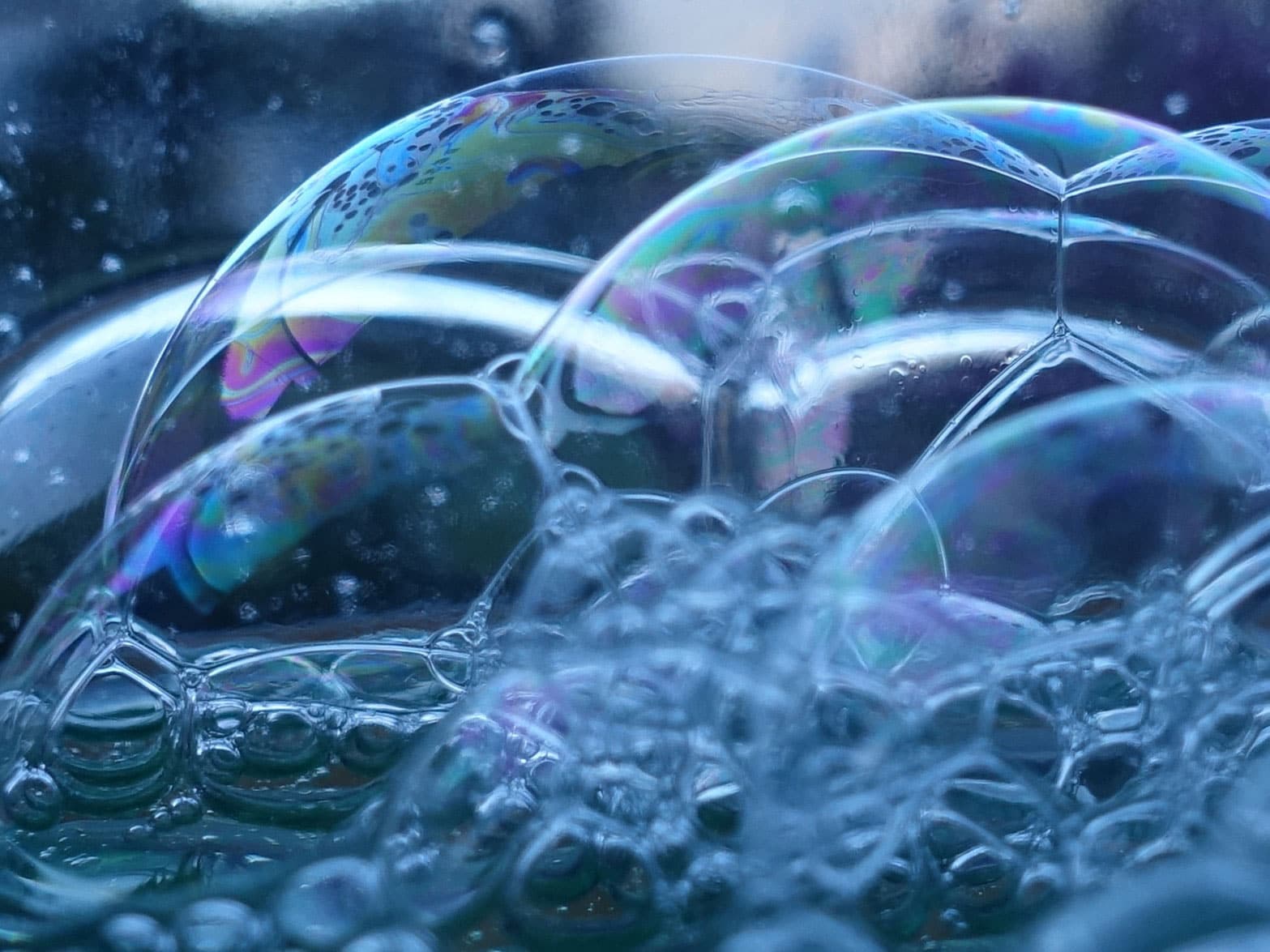The physics of bubble evolution