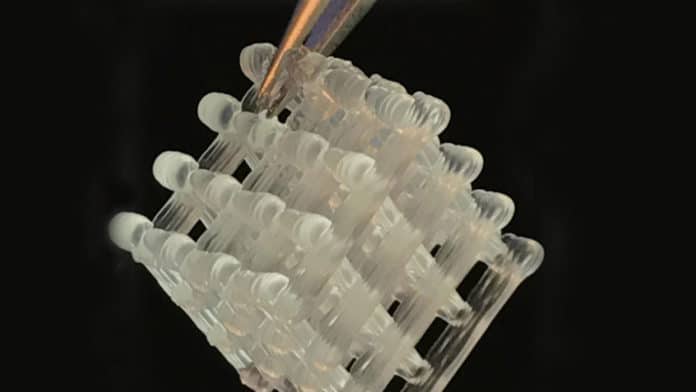 A 3D-printed hydrogel lattice.University of Texas