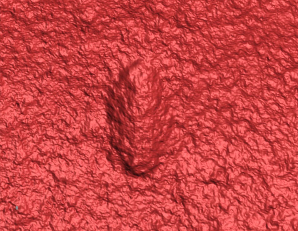 A 3D laser scan of an Ikaria wariootia impression. (Droser Lab/UCR)