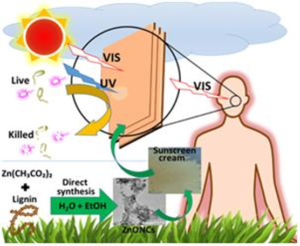 Sunscreen formulations developed from agri-waste