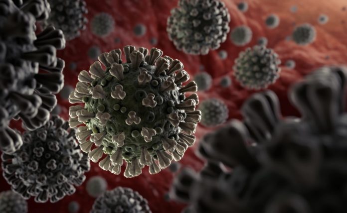 Novel Coronavirus: What do we need to know?