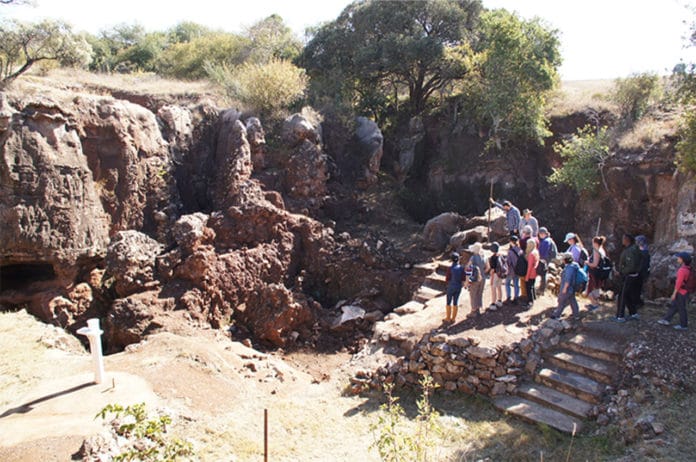 Undergraduate students participating in the Drimolen Field School in South Africa excavated fossils at an important paleoanthropological site. A new discovery from the Drimolen site is the earliest known representative of the species Homo erectus, a direct ancestor and the first early human to be broadly similar to modern humans in anatomy and behavior. (Photo courtesy David Strait)