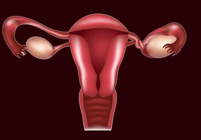 Ovarian reserve is not associated with risk of obesity or diabetes