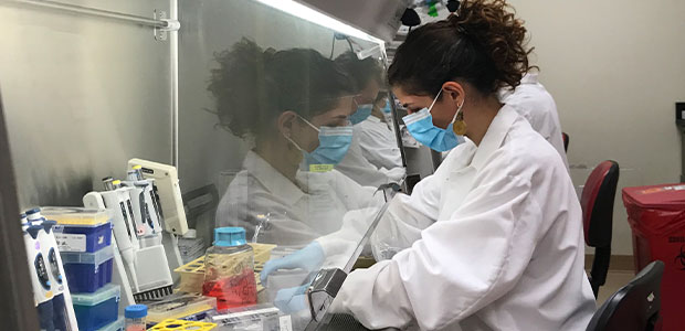 Alba Grifoni, Ph.D., an instructor in the Sette lab and the study’s co-first author, tests the T cell response in blood samples collected from individuals who have recovered from COVID-19. Image: Courtesy of La Jolla Institute for Immunology.