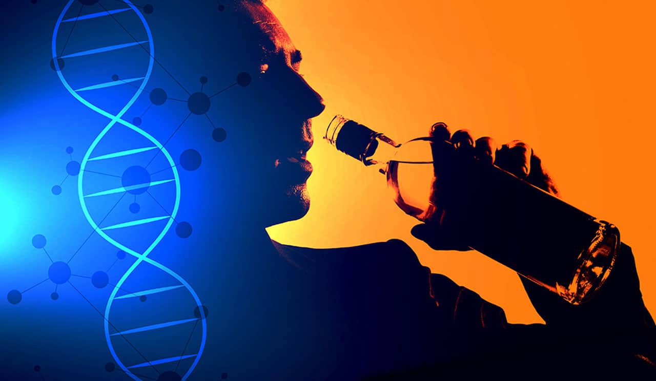These 29 genetic variants are linked to problematic drinking