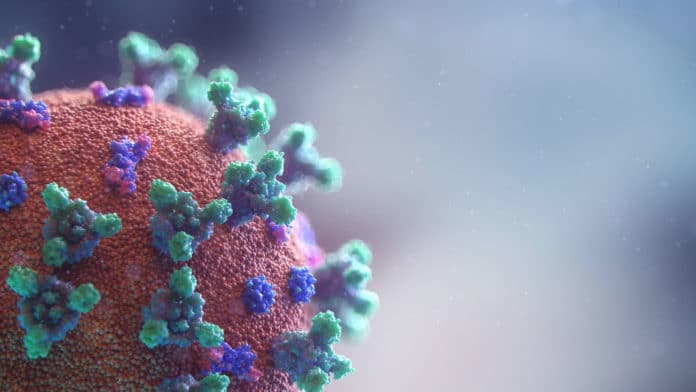 Human immune system can recognize coronavirus in many ways