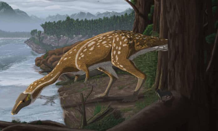 An artist’s impression of what an elaphrosaur may have looked like. Credit: Ruairidh Duncan.