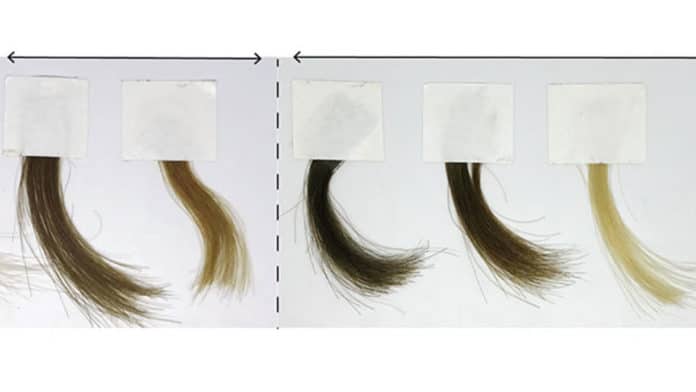 A number of different colors can be achieved with new synthetic melanin hair dye.