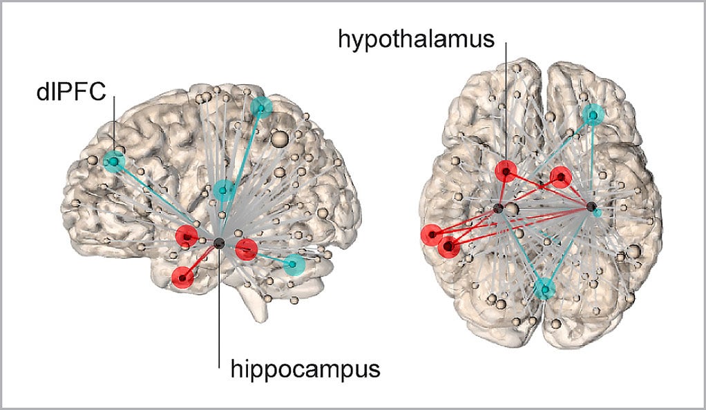 The sensation of stress is generated by neural networks emanating from the hippocampus. Networks represented by red lines show connections to hypothalamus, which predict higher levels of stress. The blue lines represent connections to dorsal lateral frontal cortex, and lower subjective levels of stress.