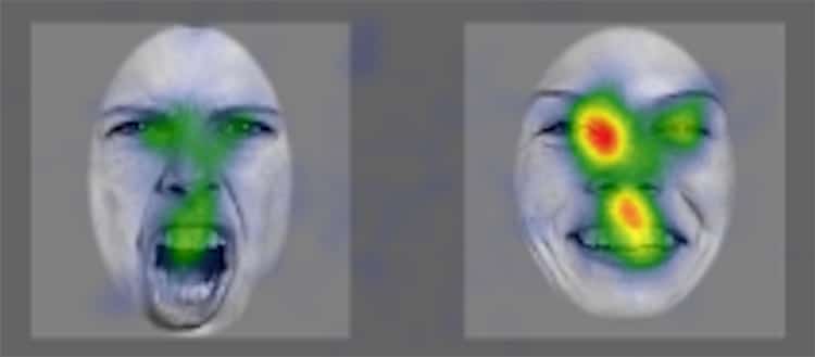 Average durations of all eye fixations in milliseconds for all 80 participants looking at natural faces expressing anger or happiness visualised in the form of a coloured card, after listening to a voice expressing happiness