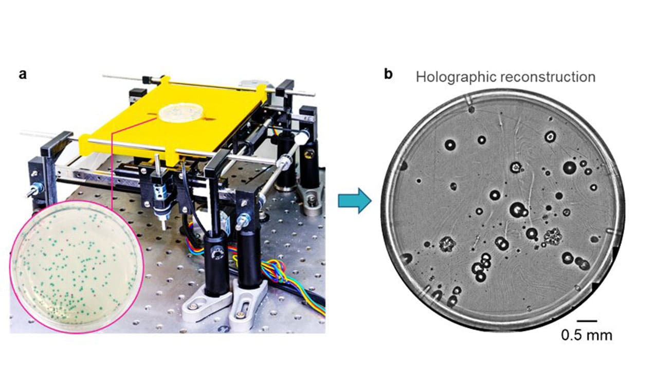 Deep learning-based early detection and classification of live bacteria. a, Schematic of the device. b, Whole plate image of E. coli and K. aerogenes colonies