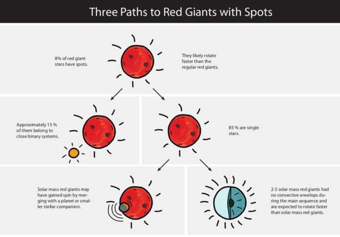 Eight percent of red giants exhibit starspots