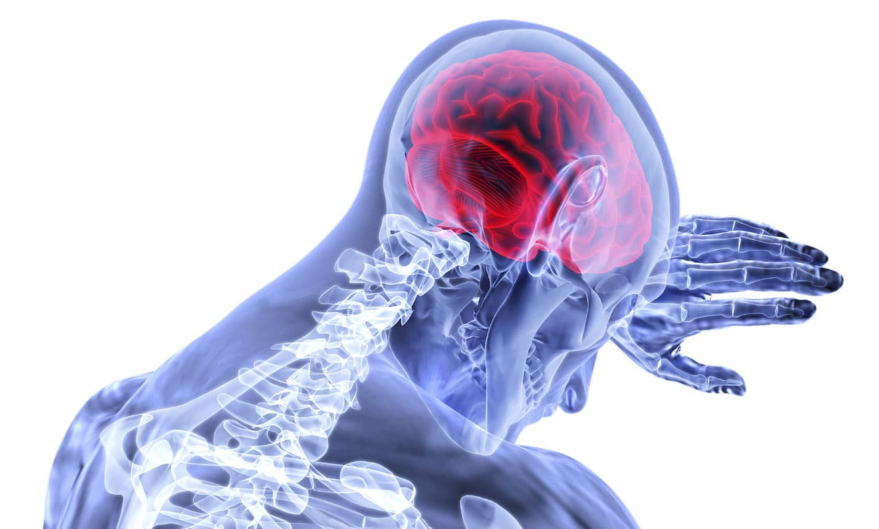 Researchers develop ‘Hyperelastic Model’ to understand brain injuries