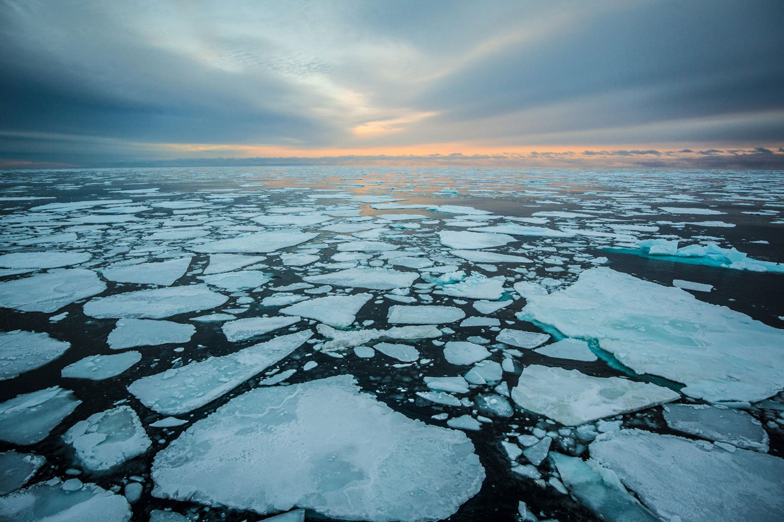 Arctic sea ice is melting faster than ever - Tech Explorist