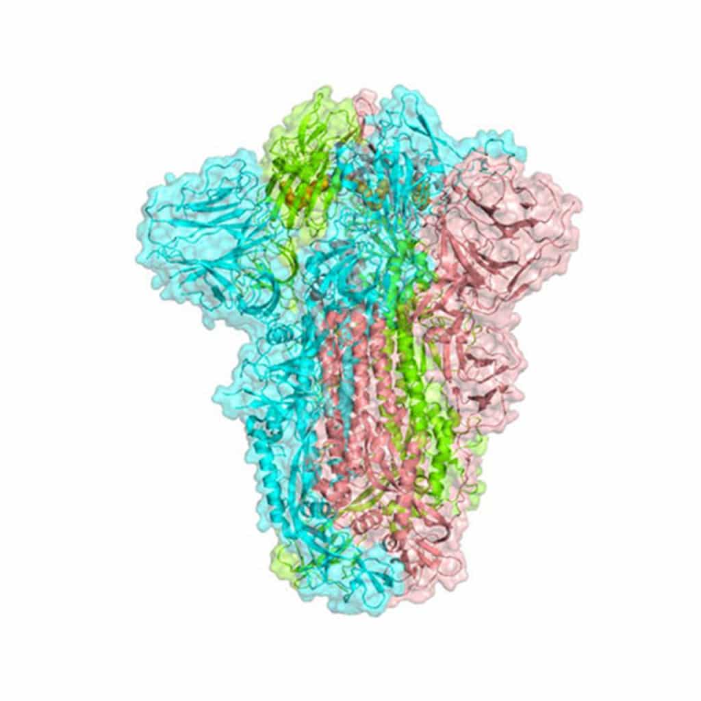 Scientists discovered a druggable pocket in the SARS-CoV-2 Spike protein