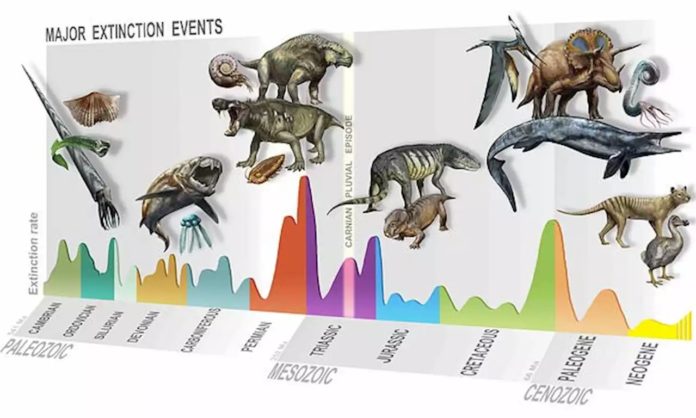 major extinction events