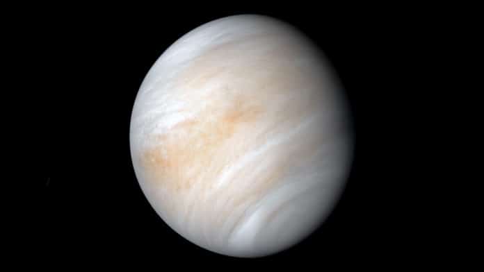 Venus might be habitable today, if not for Jupiter