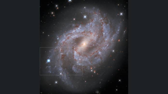 SUPERNOVA IN NGC 2525