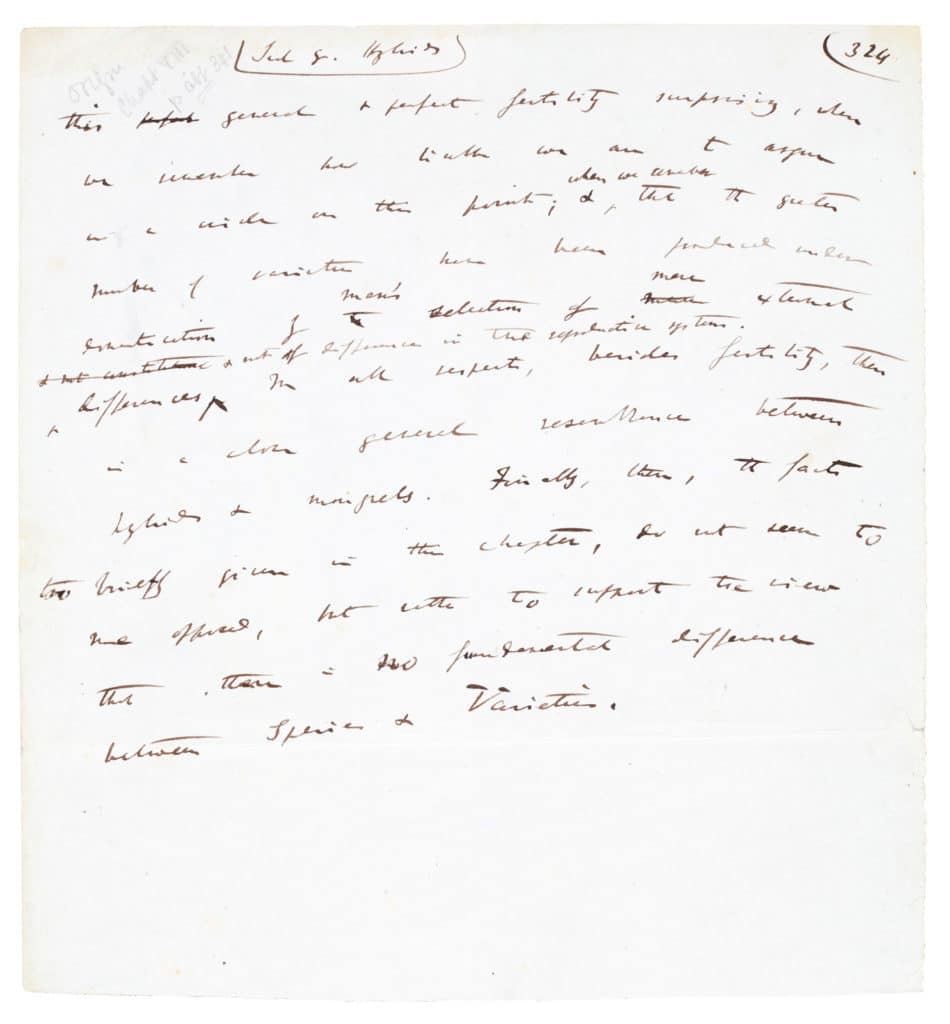 A draft leaf of On the Origin of Species (1858-1859).