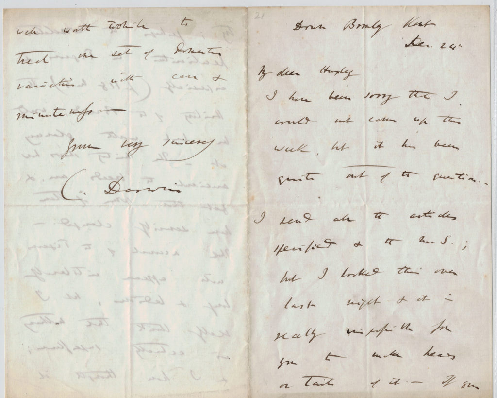Dated 24 December 1859, a letter to biologist T. H. Huxley regarding a manuscript on the evolution of pigeons. This letter was sent in preparation for Huxley's Royal Institution lecture and is one of a series of lectures between the two men.