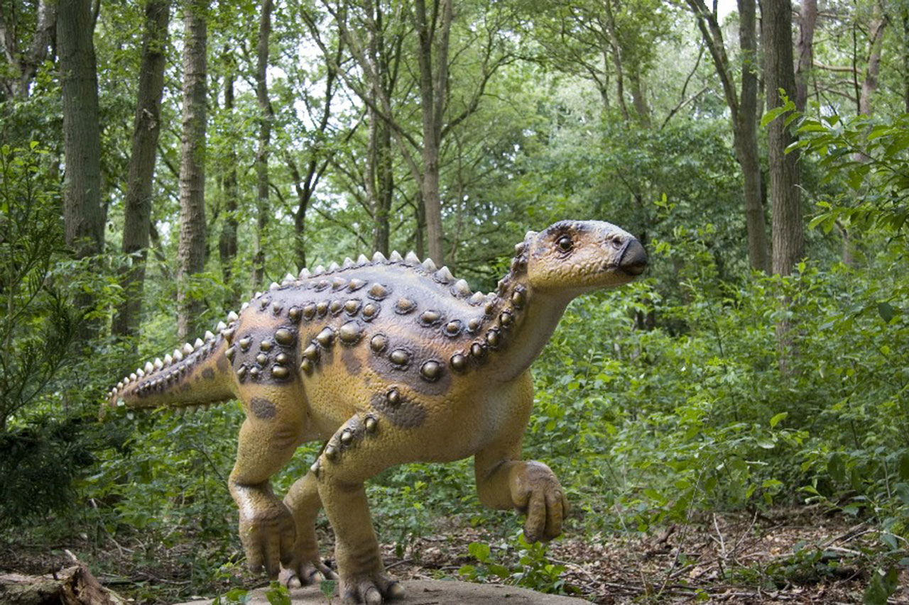 Scientists discovered the first fossilized remains of dinosaur from Jurassic-era