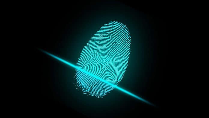 Fingerprints’ moisture-regulating mechanism strengthens human touch - study