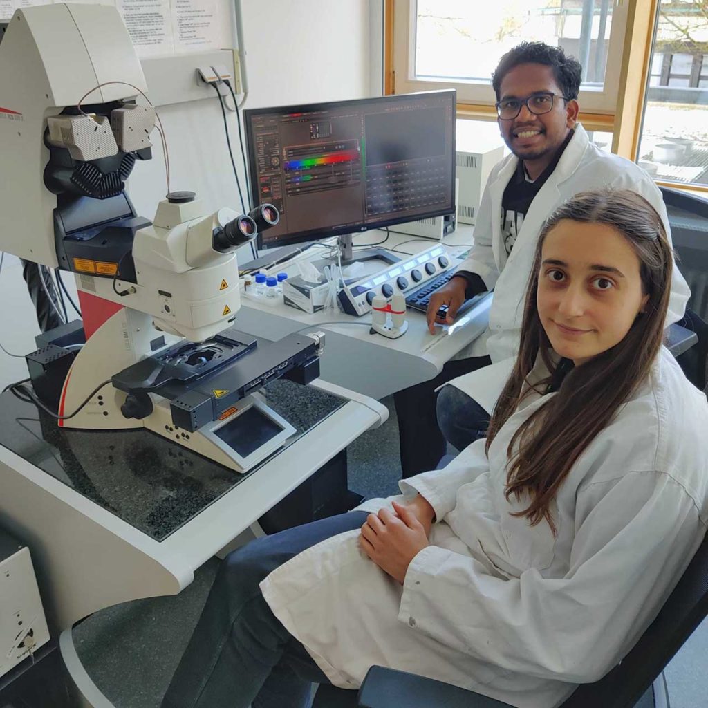 TUM doctoral students Athul Vijayan and Rachele Tofanelli (from left) from the Professorship for Developmental Biology of Plants