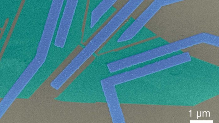 False-colour electron microscope image of the sample, the green layers are graphene on top of the grey silicon dioxide. The blue metal electrode with narrow contact to graphene in the centre is used to extract the entangled electrons